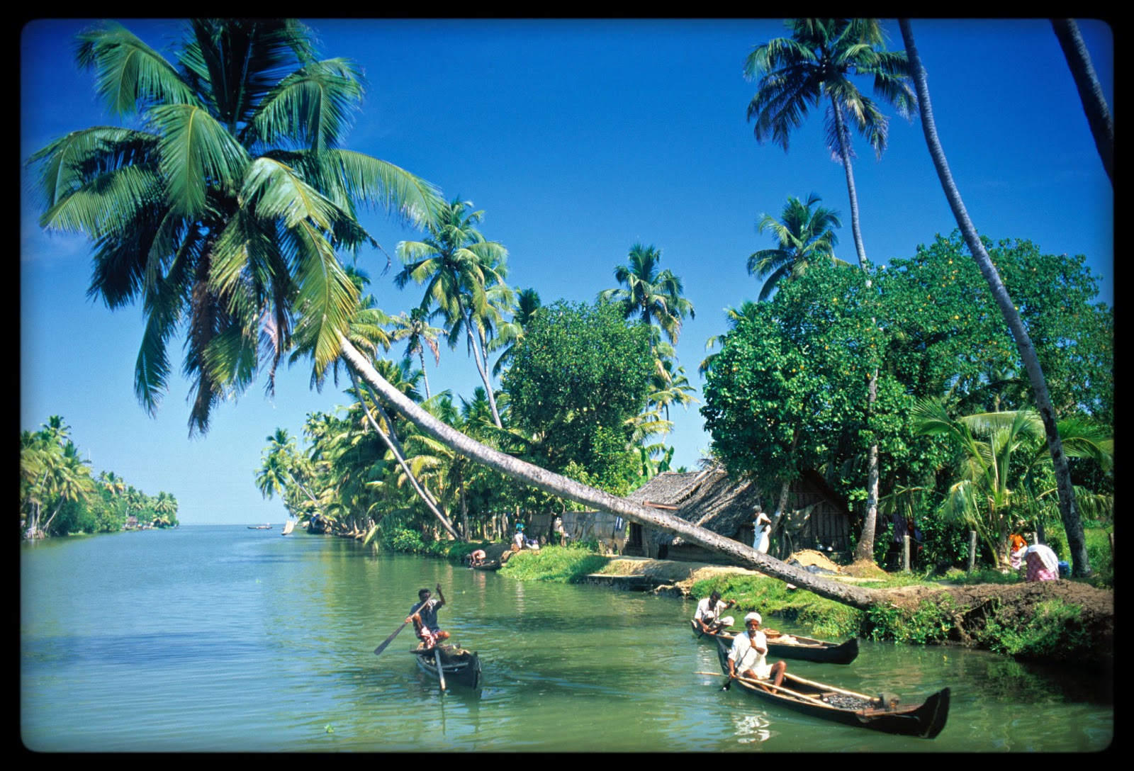 Gallery for Kerala-backwaters-wallpapers-top-tourist-places-review ...