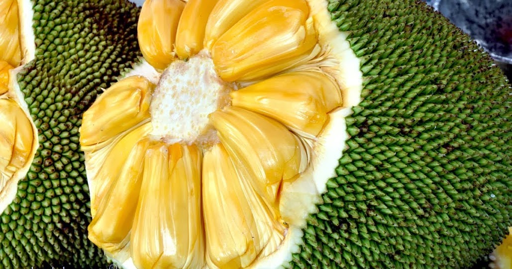 Kandungan Gizi Dan Manfaat Buah Nangka
