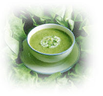 Cabbage Soup Diet