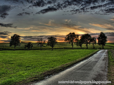 Beautiful Green Background, Evening