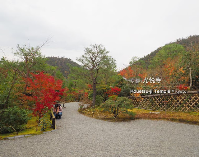 [京都] 光悦寺の庭園