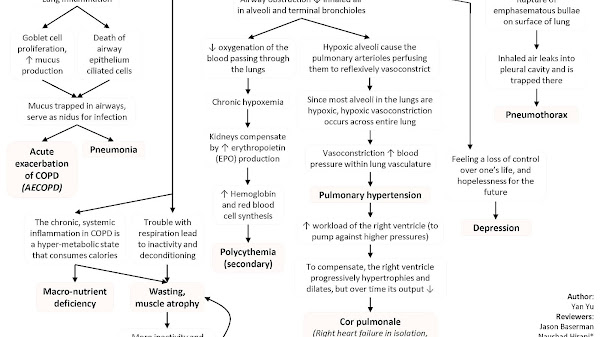 Complication Of Heart Failure