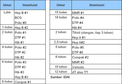 BIDAN KAYUAGUNG SUMSEL: 12/16/10