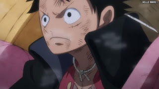 ワンピースアニメ 1049話 ルフィ Monkey D. Luffy | ONE PIECE Episode 1049