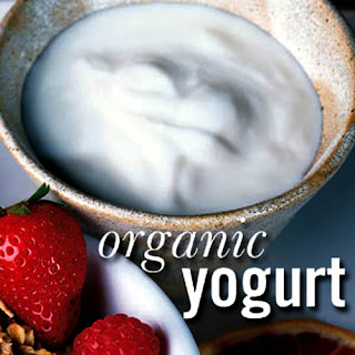 organic yogurt