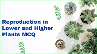 Reproduction Lower and Higher Plants MCQ