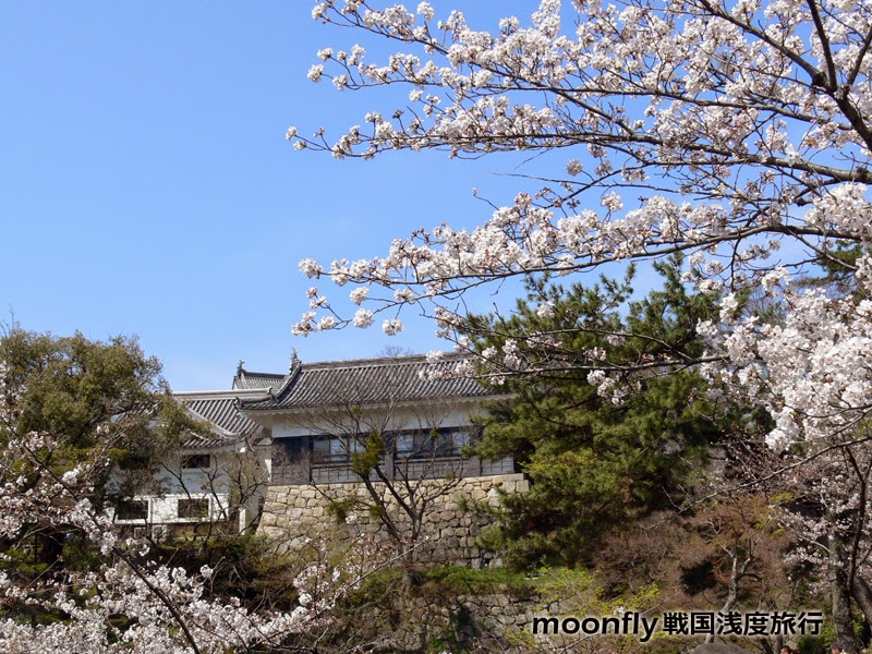 月翔的戰國淺度旅行 德川家康誕生之城岡崎城 月翔的戰國淺度旅行 德川家康誕生之城岡崎城