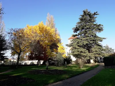 Autumn colours in Descartes public gardens in November