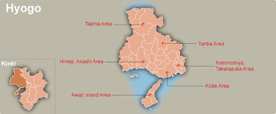 Hyogo Map Regional City