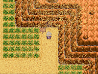 Pokemon Desert Storms Screenshot 02