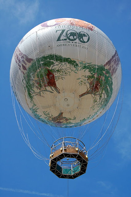 Balloon Zoo8