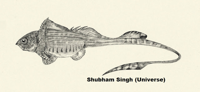 Rhamphodopsis- Shubham Singh (Universe)