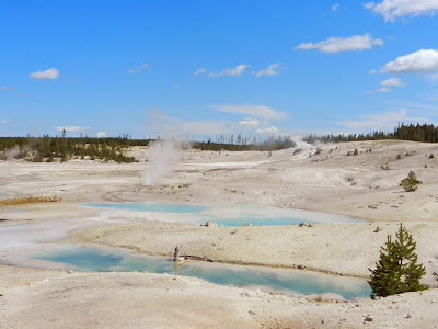 Porcelain Basin  Yellowstone Wyoming