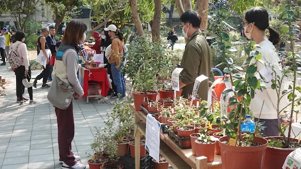 ▲興大園藝療育市集2023首場活動開辦，以蕨類為主題，吸引許多熱愛園藝的民眾參與。（記者林明佑攝）