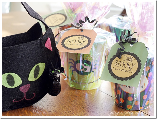 kitty buckets copy