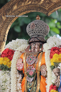 Vaigasi, Purappadu,Video, Divya Prabhandam,Sri Parthasarathy Perumal, Triplicane,Thiruvallikeni,Utsavam,Gajendra Varadhar,Brahmotsavam