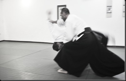 nidan 2 