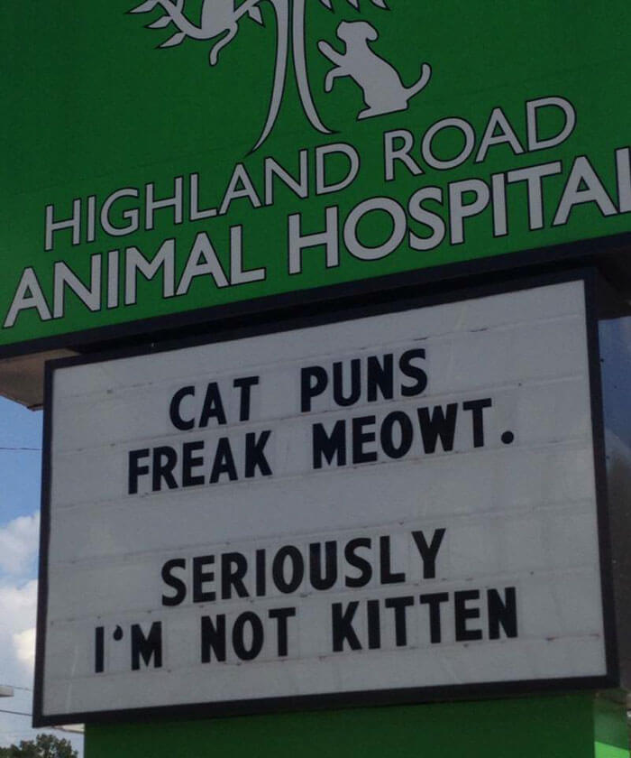 30 Hilarious Cat Jokes Vet Clinics Put Up On Their Signs