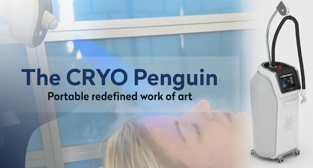 The CRYO Penguin - Portable redefined work of art 