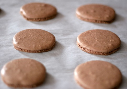 chocolate macarons 2