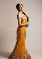 Shriya, saran, navel, pics, in, saree