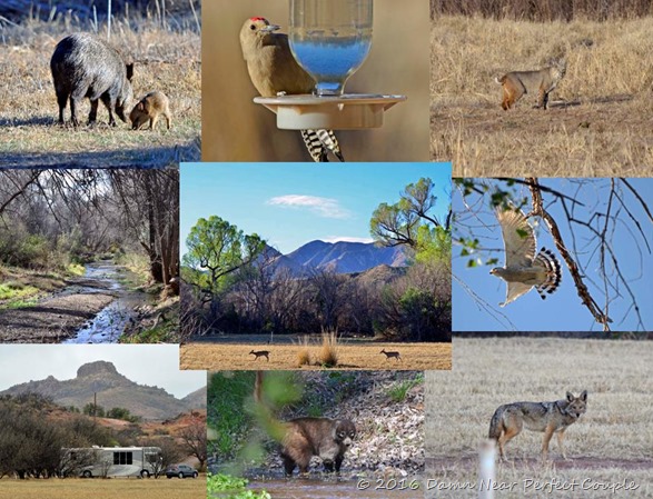 Patagonia Montage