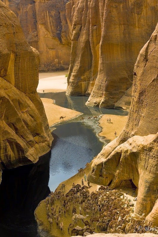  Guelta d'Archei, oc dao la lung cua sa mac
