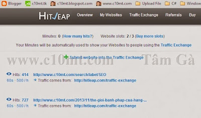 Submit website into the Traffic Exchange Hitleap
