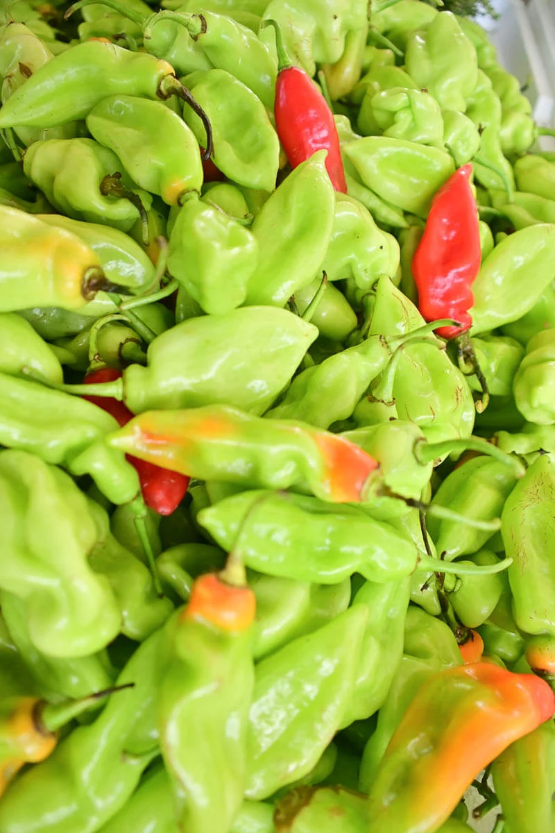 A close up of a bunch of pimento peppers.