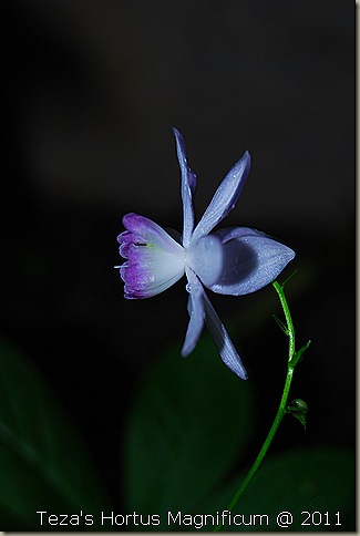 Copy of DSC_0660