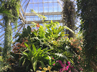Brooklyn Botanical Garden Orchid Show