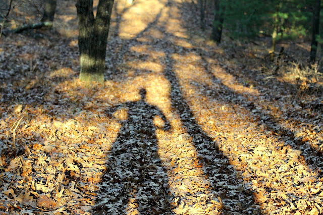 shadow fun on the Camel Bluff trail, Mill Bluff State Park, WI