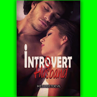 Novel Introvert Husband pdf karya Ikesweetdevil