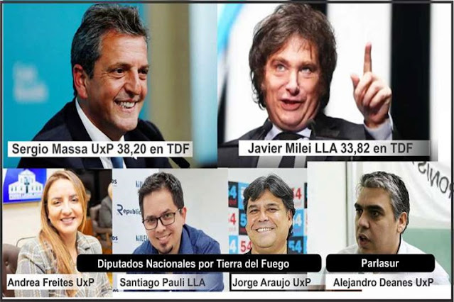 Massa gano en TDF, Freites, Araujo y Pauli nuevos diputados
