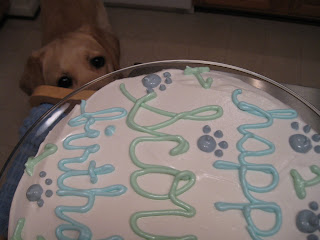 Doggie Birthday Cake on Inkpadchocolate  Scouty S First Birthday   Devil Dog Cake