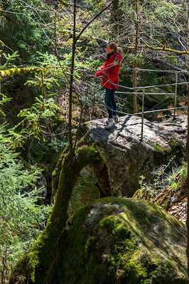 Rundweg Steinforelle | Wanderung Spiegelau – Steinklamm – Stausee-Großarmschlag | Bayerischer Wald 03