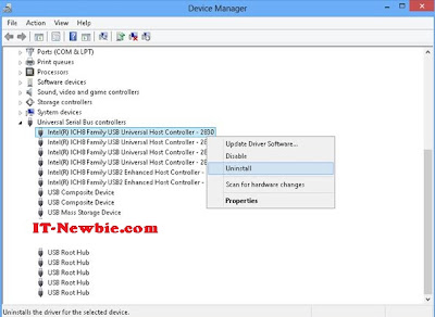 USB Host Controller