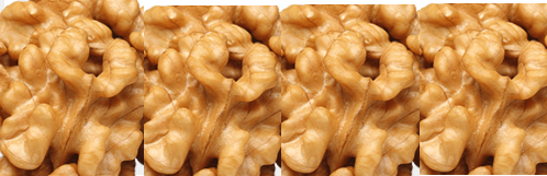 Conclusion for walnuts