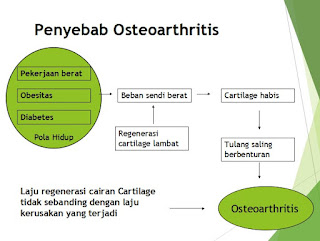 penyebab osteophorosis