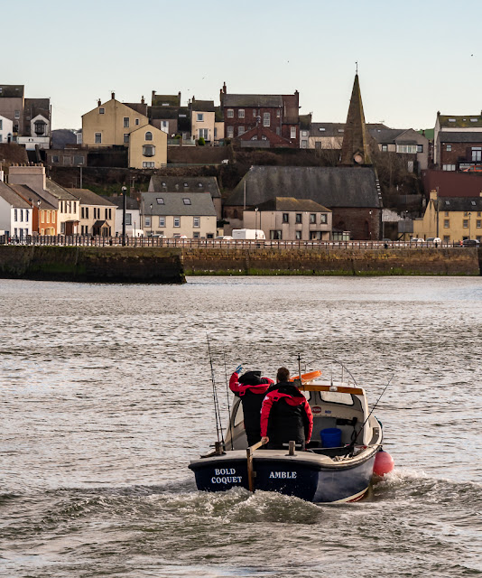 Photo of Bold Coquet in Maryport Basin