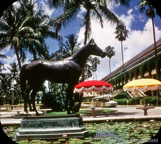 View-Master Miami and Miami Beach (A963), Scene 14: Statue of Citation, Campion Race Horse, at Hialeah Park