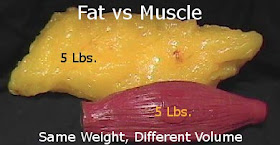 Same weight of fat and muscle, different volume.