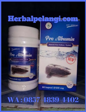 Jual Kapsul Pro Albumin Di Rokan Hulu | WA : 0857-4839-4402