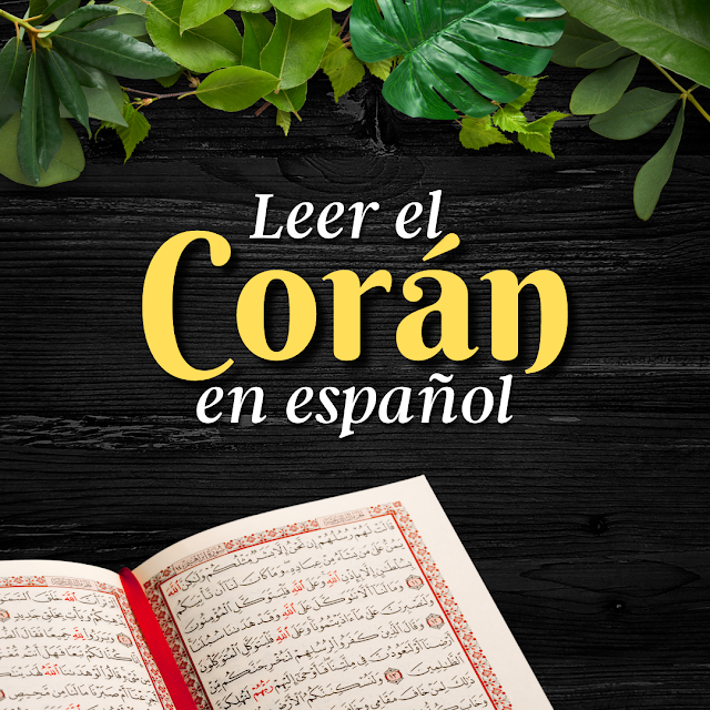 El Corán Surah Al-Maidah: 14-36 y traducción al español