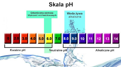 Żywa Woda