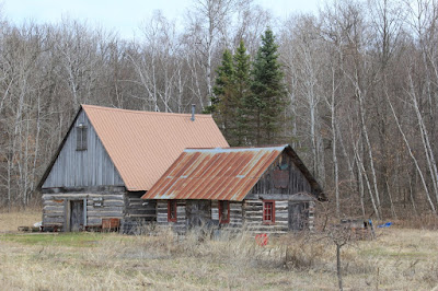 springtime at the CSA shed