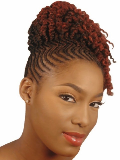 Natural Braided Hairstyles For Black Women 20142015  Life Style 
