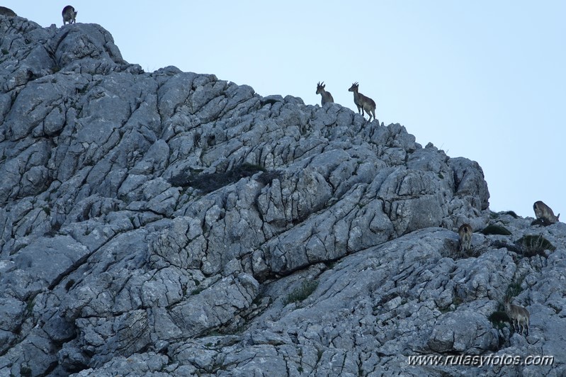 Crestería de la Peña Negra (Sierra del Co)