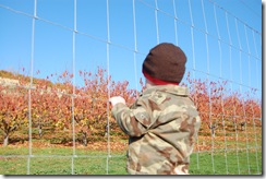 November 2009 031