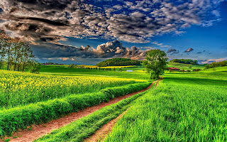 Beautifull Green Nature HD Desktop Wallpaper Photos